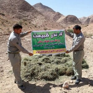 تأمین علوفه در مناطق درگیر خشکسالی